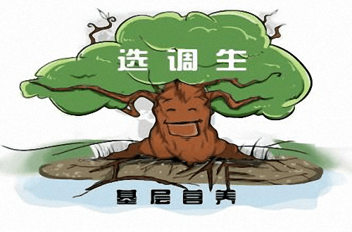 公务员和选调生的区别你知道吗？为什么老师不建议考选调生原因