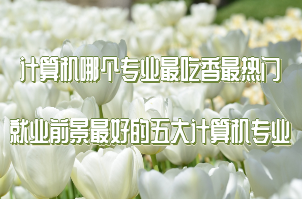 1651737536107579.png 计算机哪个专业最吃香最热门 就业前景最好的五大计算机专业